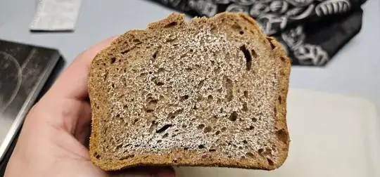 Photo of Whole Wheat Dough Interior After Storing In Bread Bag, Crumb Placed Down