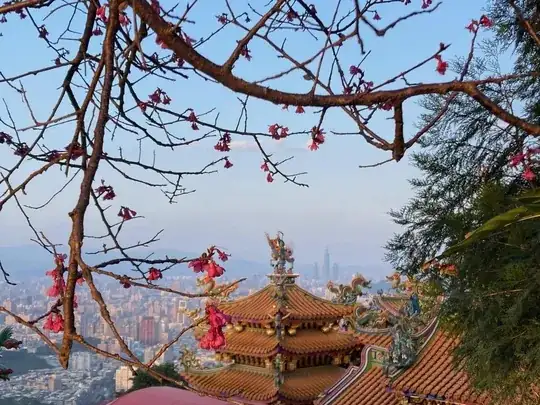 decorative cherry blossoms in Taipei in early February