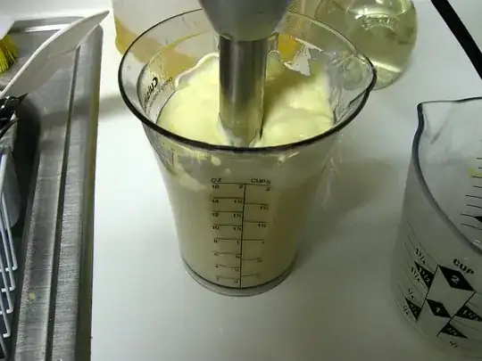 Mayo after blender