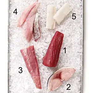 Fish Types