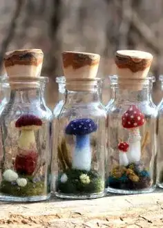 Mushroom specimens