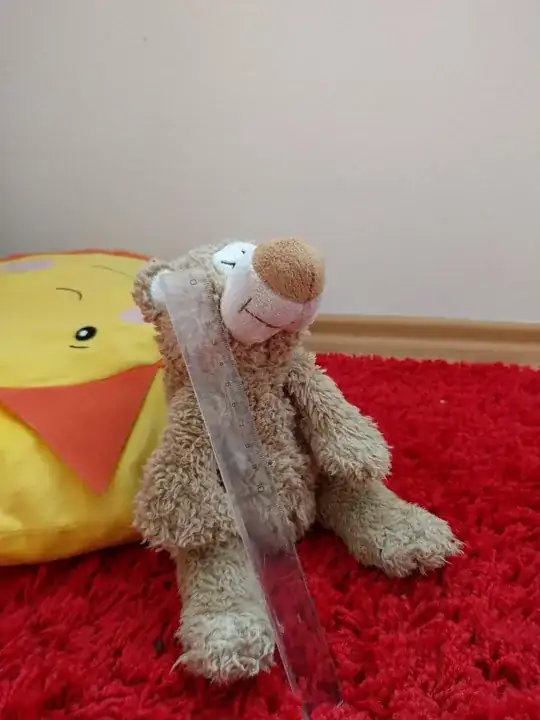 Teddy bear