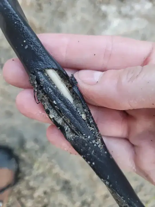 Underwater wire was ripped open through abrasion