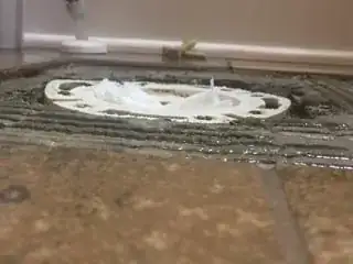 Toilet flange