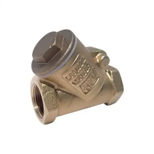 check valve