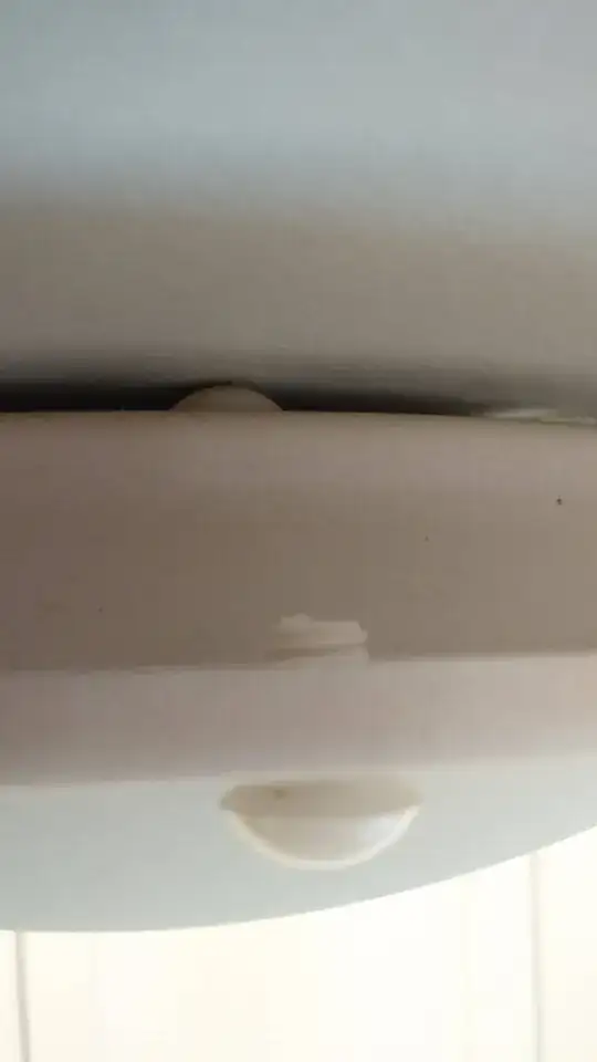 3]