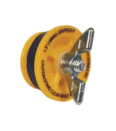 Test plug