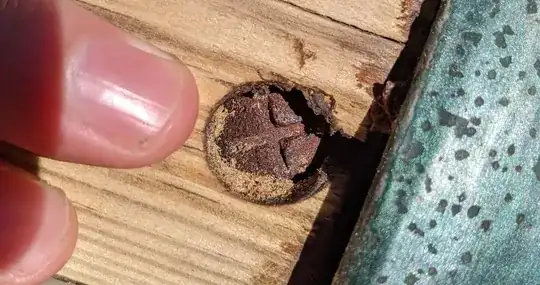 bolt head