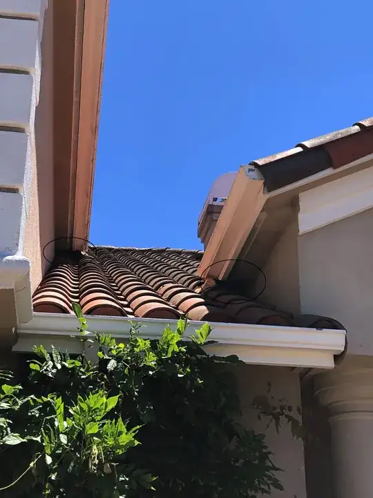 both openings