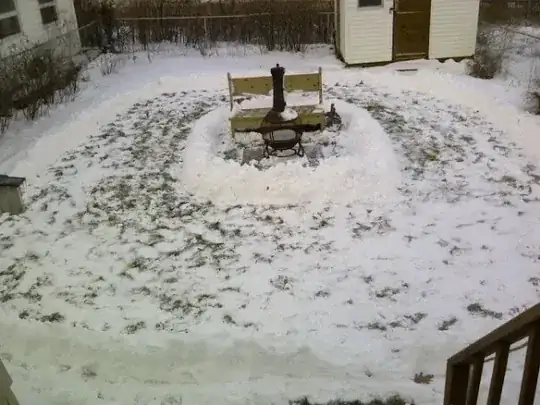 back yard ice rink