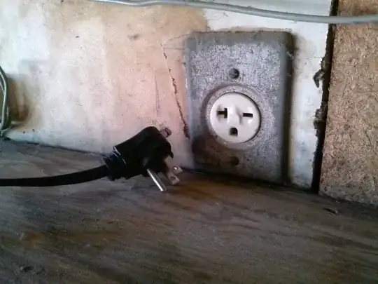 the plug