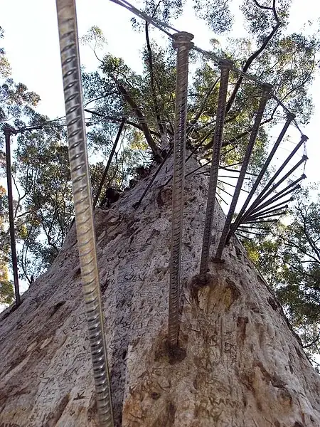 Diamond Tree rungs