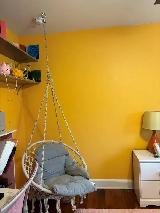 hammock chair