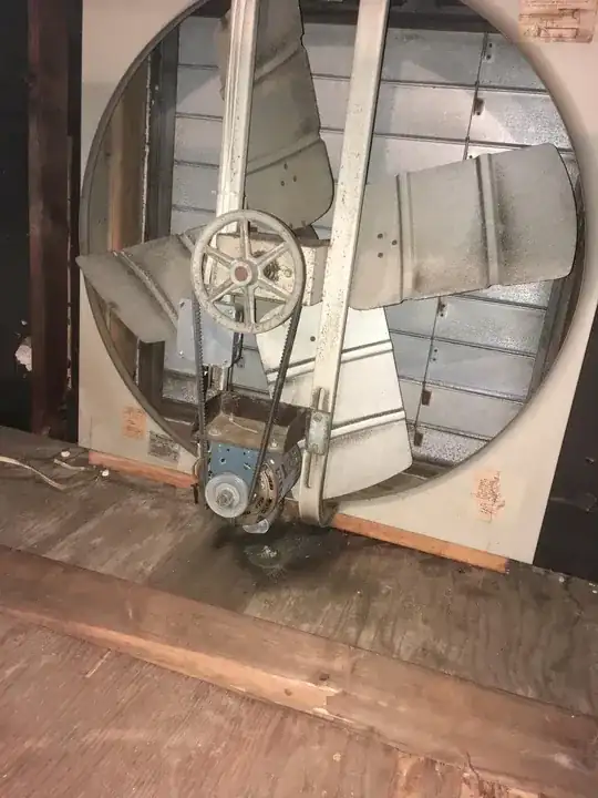 Fan