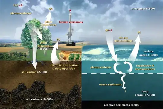 Source: https://earthobservatory.nasa.gov/features/CarbonCycle
