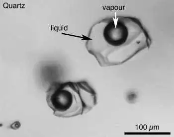 fluid inclusion