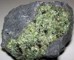Xenolith