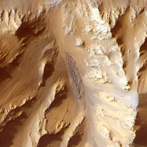 Top View