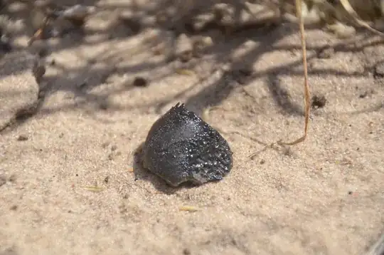 A fragment of the asteroid 2018 LA, found in the Central Kalahari Game Reserve in Botswana in 2018.Credit...P. Jenniskens/SETI Institute