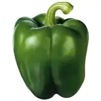 a green bell pepper
