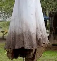 Susie's Dress