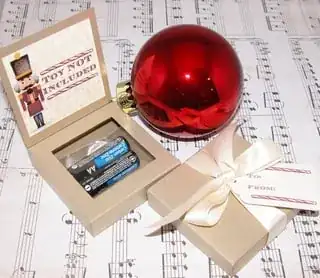 Toy not included