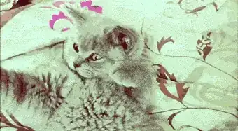 Kitten hits his face with his paw