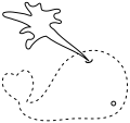 Trace the whale