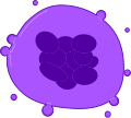 Thumbnail for version as of 01:49, 8 April 2013