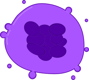 File:Megakaryocyte1.svg