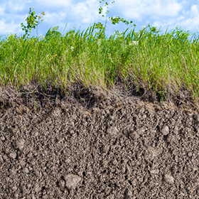 Soil image