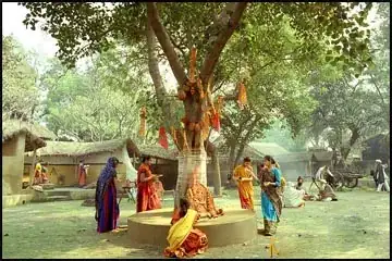 Peepal tree worshipping by Hindus