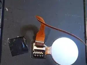 BniYJ6XUZKut4VMw
