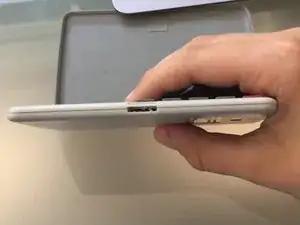 L4eNWCZctrIWuryL