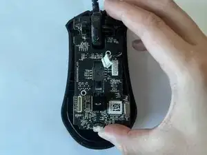 NSDwMaDl2PvIjrFV