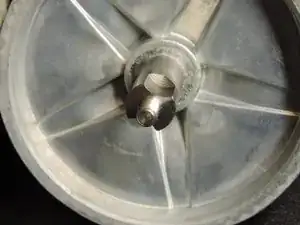 OGVr6SuooFnquHRI