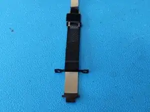 OYBpdoRnlSWdIWri