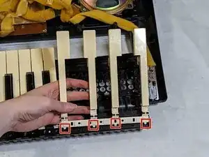 UZpDCkNyE5RJPRym