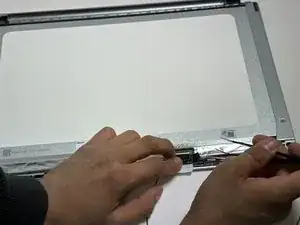 Z2wgdSbM2EKMhREX
