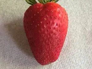 Strawberry Teardown