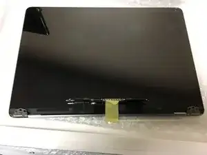 Screen Assembly