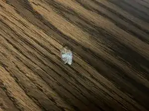qAGeNIQfUyTEG5UG