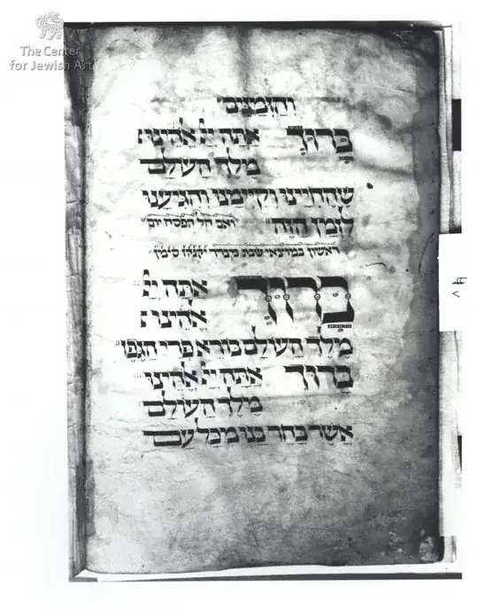 Birds Head Haggadah Gefen