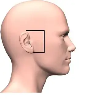 profile of a human head, with the area for the whole ear (from the top of the cartilage to under the earlobe) boxed in