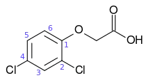 2,4-dichlorophenoxyacetic acid