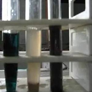 Urine of a 4-month-old baby with dark urine (on the left) after 10% ammonia and 3% silver nitrate were added. The tube in the middle is a normal control. Color change on alkalinization is not a specific test, and confirmatory investigations are needed.