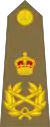 Field Marshal