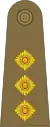 Captain