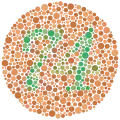 Ishihara Plate 9