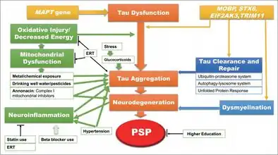 Hypothetical model of the mechanisms of progressive supranuclear palsy